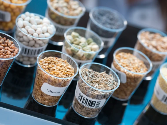 plastic cups filled with dried nuts